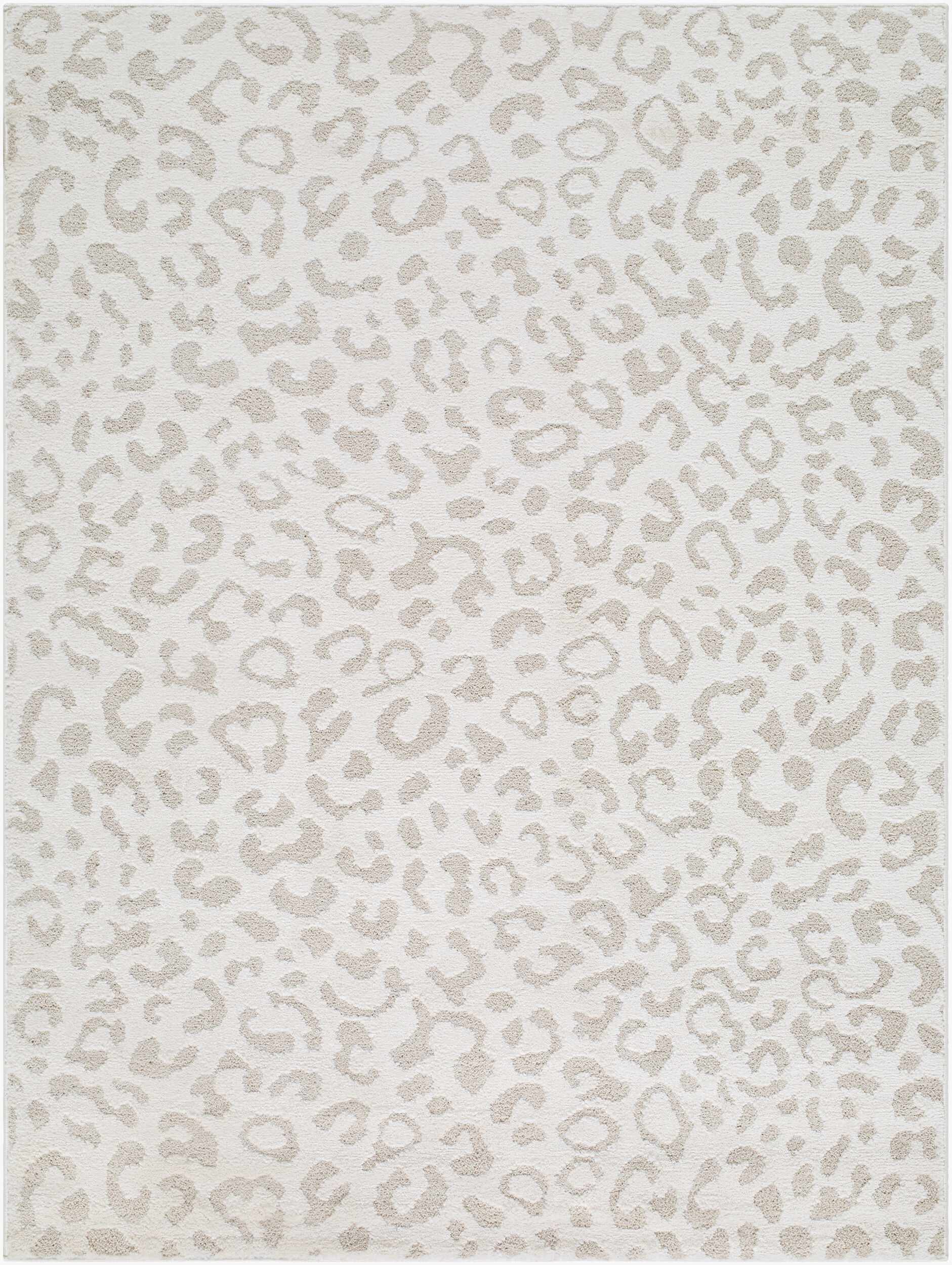 Newest Rugs